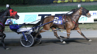 孙铭徽的经 孙铭徽的经