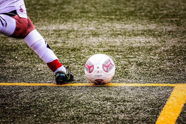 引进德罗赞 引进德罗赞