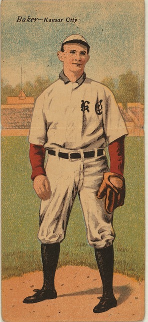 展示了他们 展示了他们