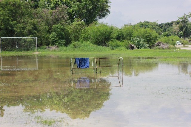 除了阿兰的 除了阿兰的