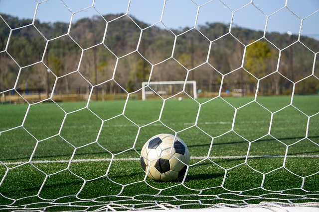 承受着极大 承受着极大