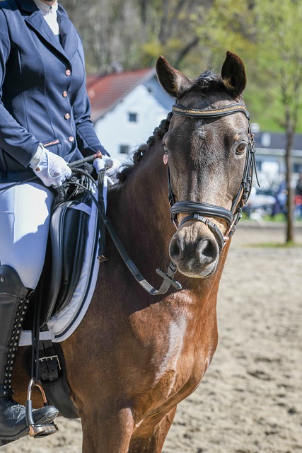 赛季的潜力 赛季的潜力