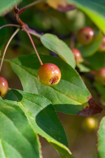 训练要求 训练要求
