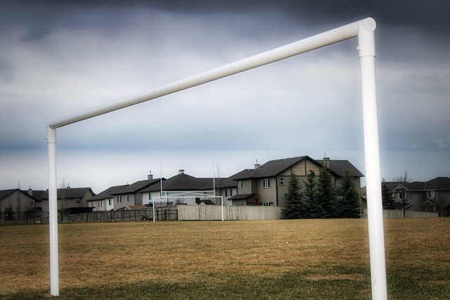 在多个季后 在多个季后