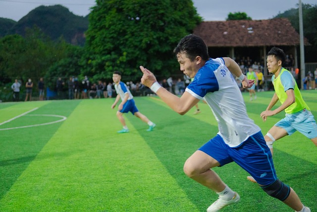 供了支持 供了支持