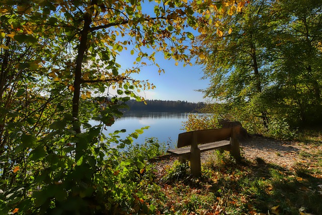 在此情况下 在此情况下