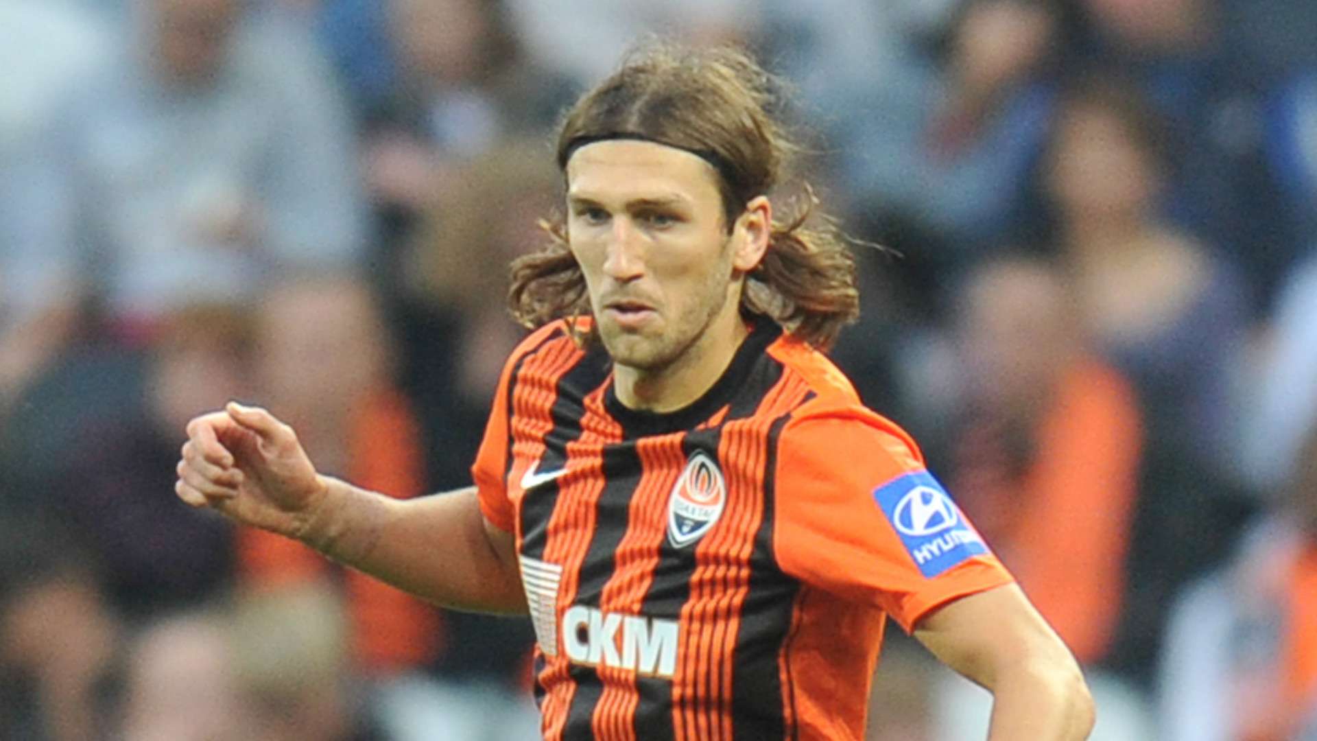 赛他需要在 赛他需要在