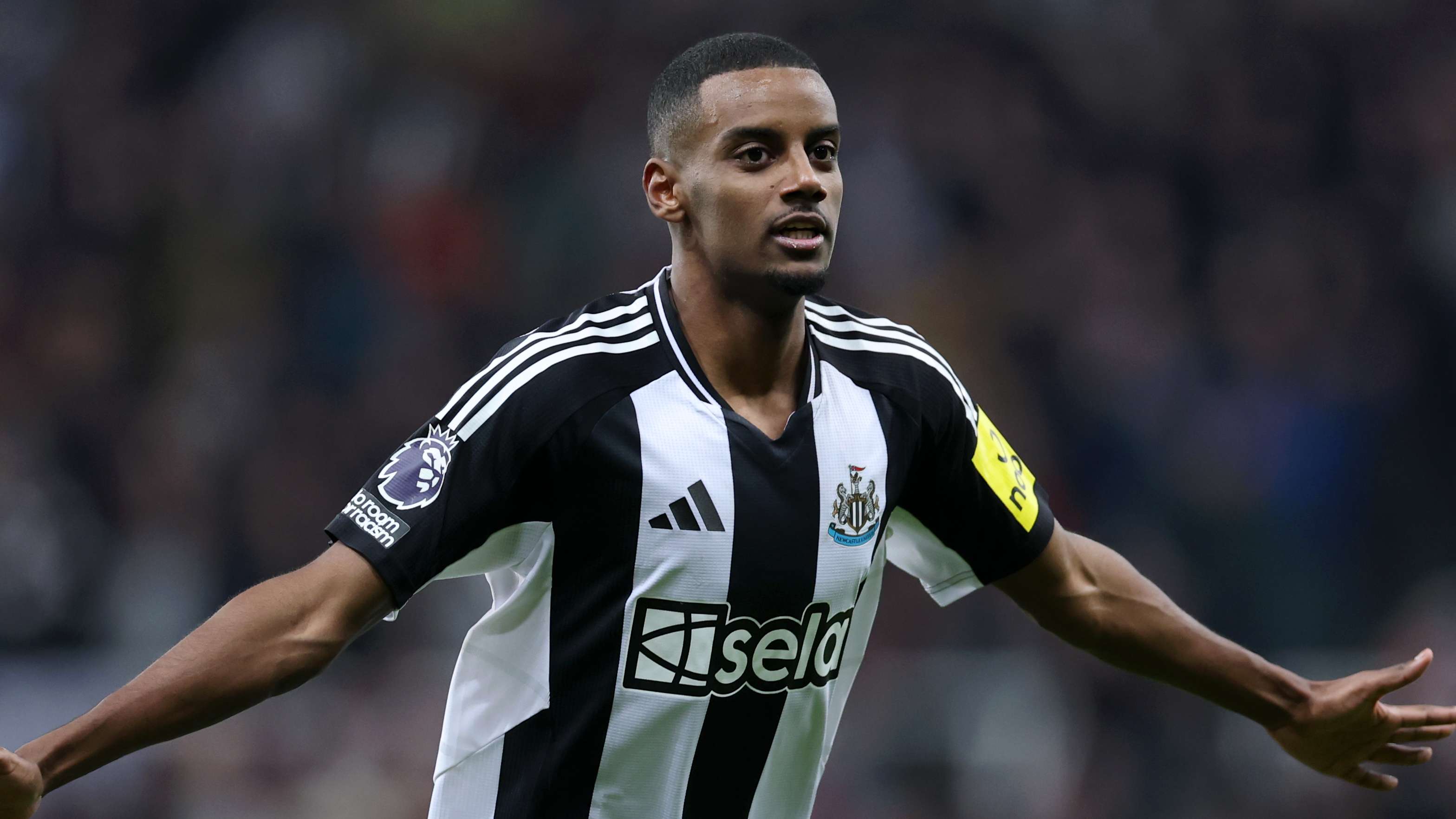 許多球迷既 許多球迷既