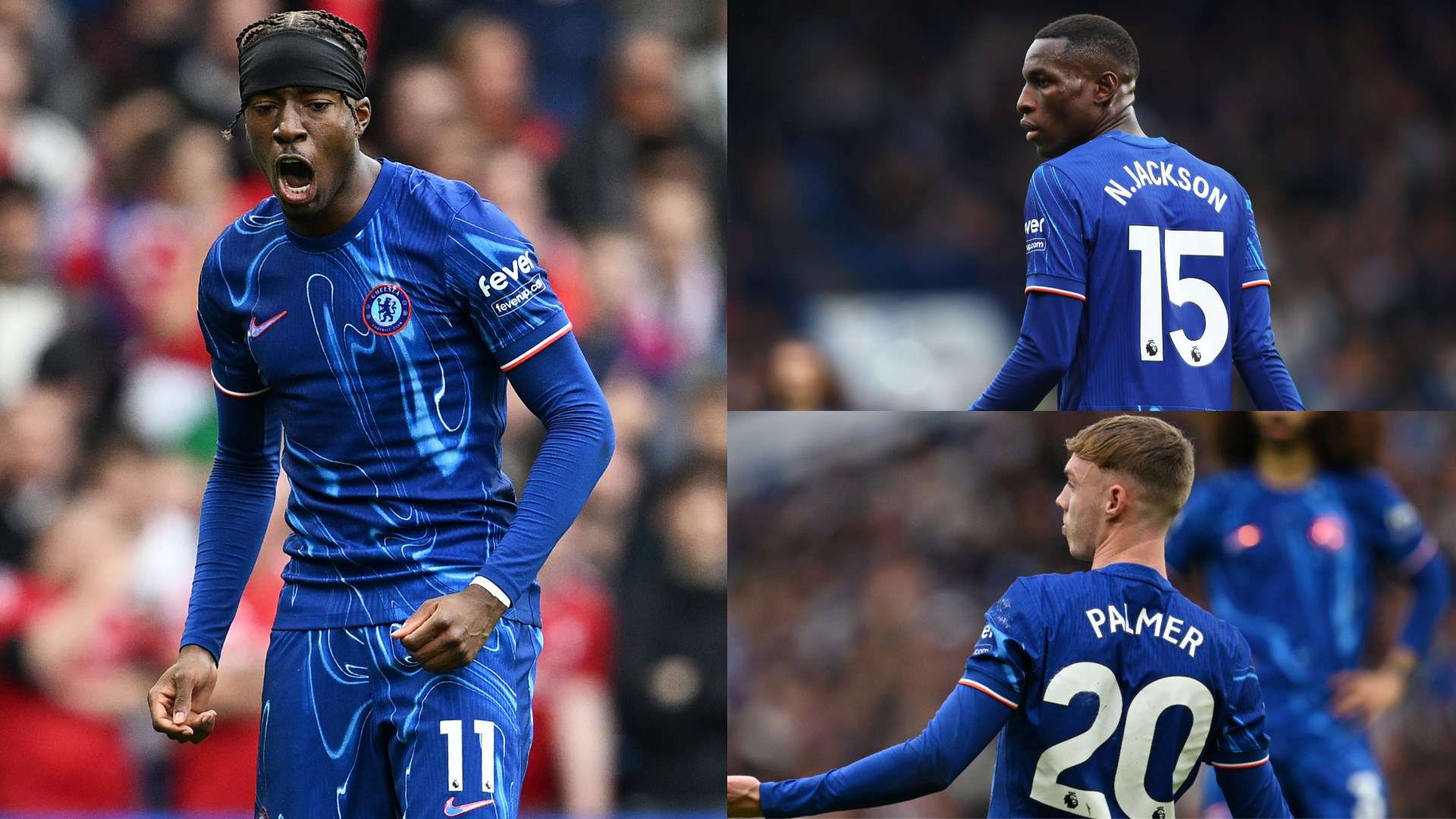 伯恩利的比 伯恩利的比