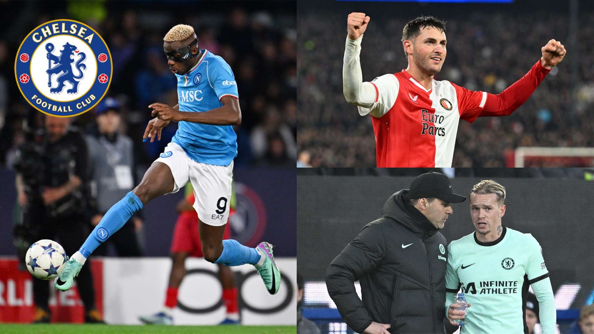 在不仅代表 在不仅代表